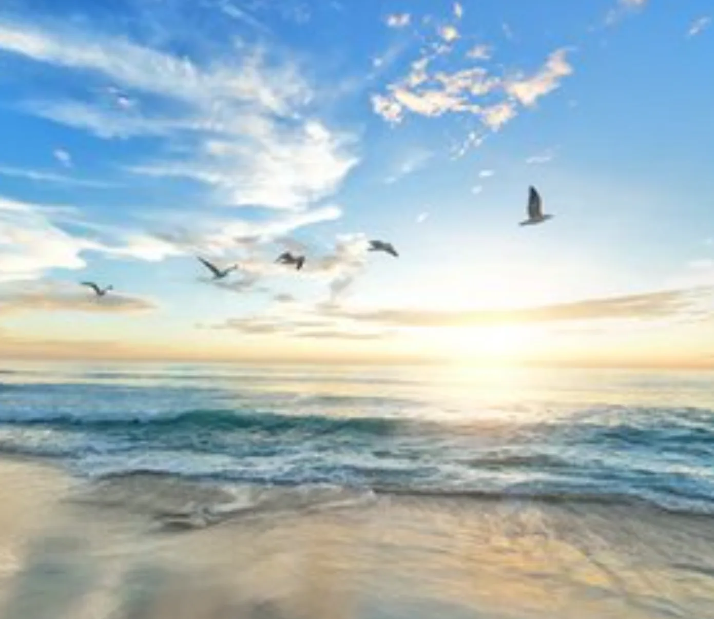 Sunrise over a beach with seabirds flying above the waves