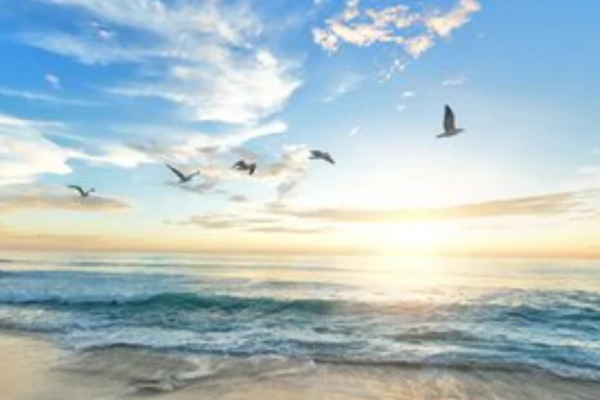 Sunrise over a beach with seabirds flying above the waves